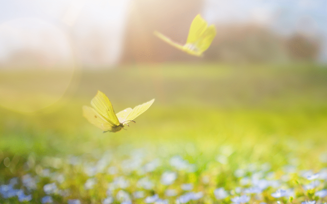 What may be possible for you this month?