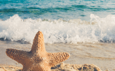 Rewrite your story: Break free from “Not Good Enough”