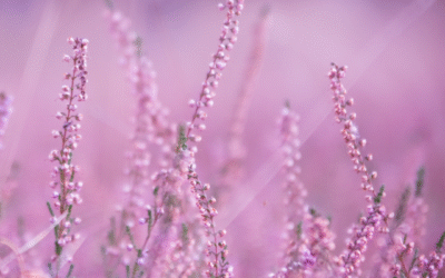 Step into October with focus and purpose