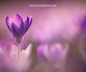 Dr. Katja Rusanen with her book Your Spiritual Curriculum