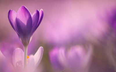 Are you still looking back?